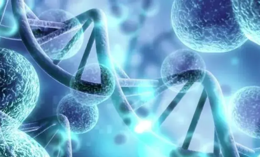 澳银INSIGHTS|解锁生命密码，探索RNA疗法的无限可能